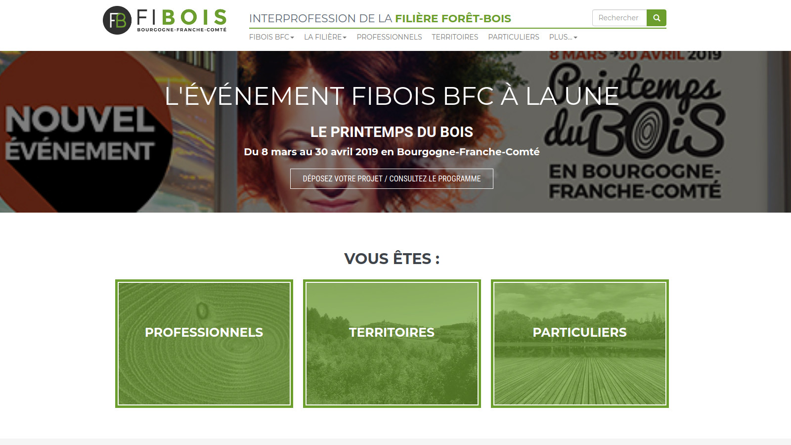 Aperçu site Fibois BFC
