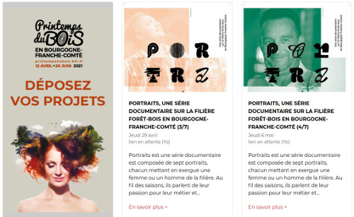 printemps du bois site web responsive